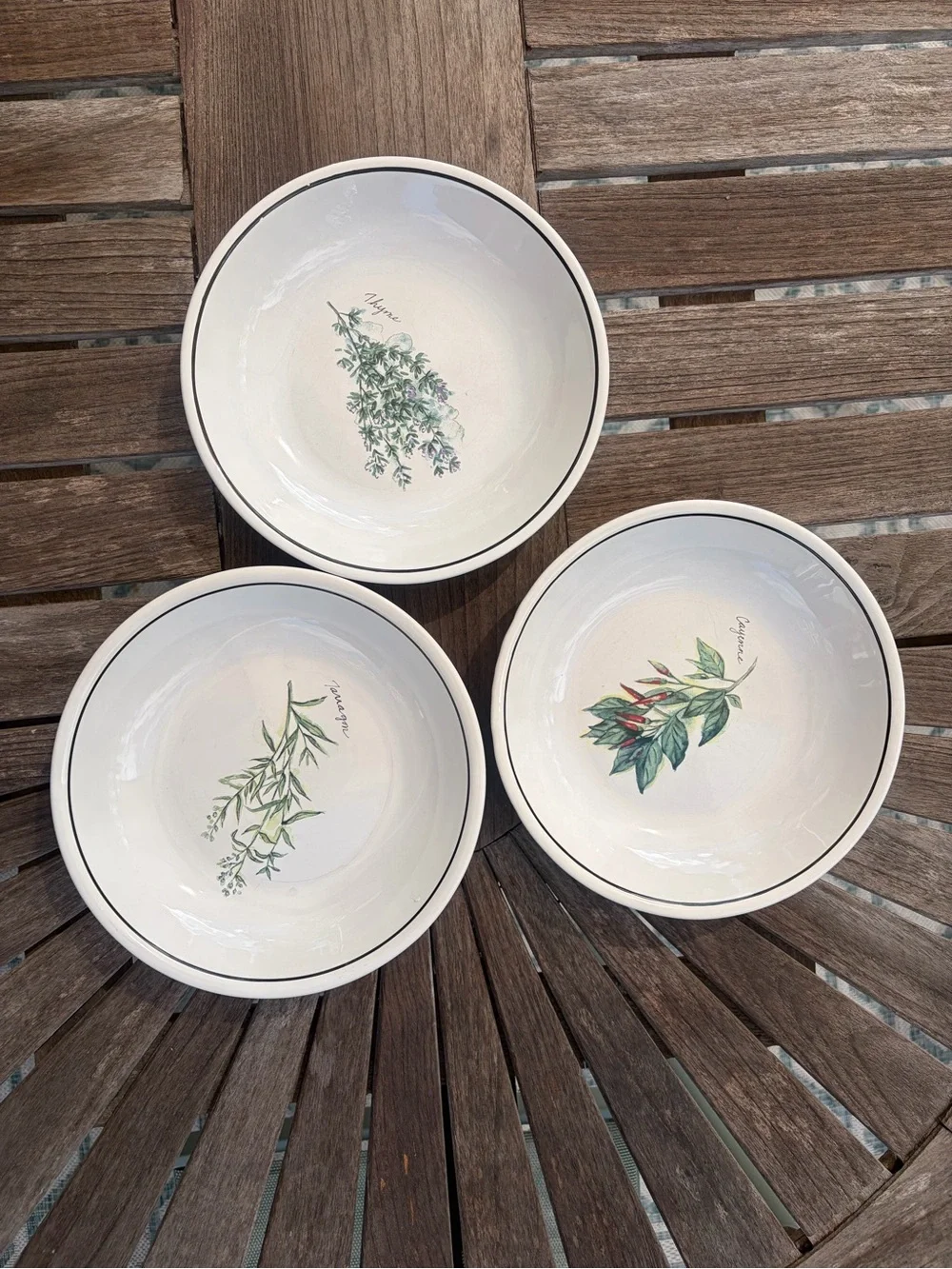 Williams Sonoma Culinary Herbs Pasta Bowls (set of 3) Thyme, Tarragon, Cayenne